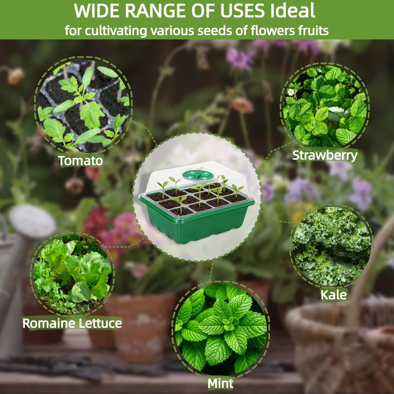10Pcs Seed Starter Tray Mini G - Dome Propagation Kit recension och pris