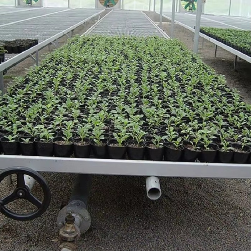 Movable Propagation Flood and  - Flood Tray Table recension och pris